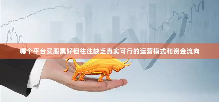 哪个平台买股票好但往往缺乏真实可行的运营模式和资金流向