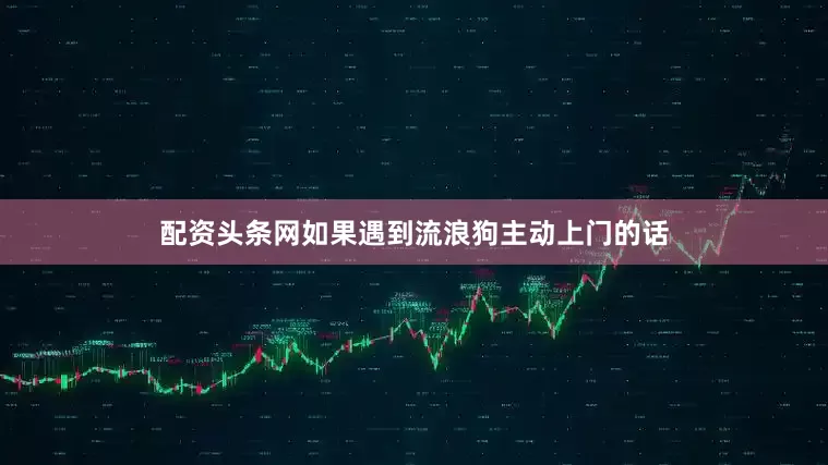 配资头条网如果遇到流浪狗主动上门的话