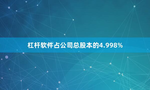 杠杆软件占公司总股本的4.998%